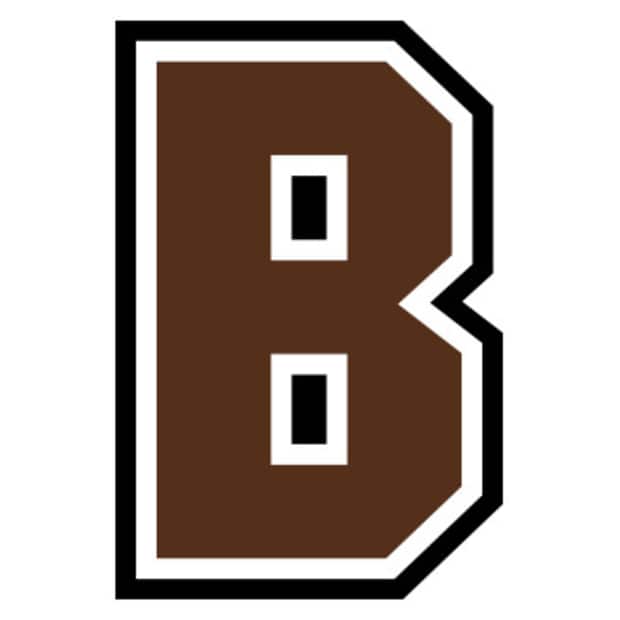 Brown Bears Logo